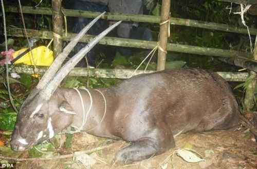 世界如此奇妙，百度如此搞笑!