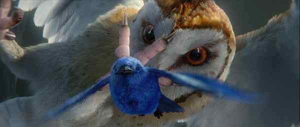 电影《守卫者传奇》中的猫头鹰知识大梳理