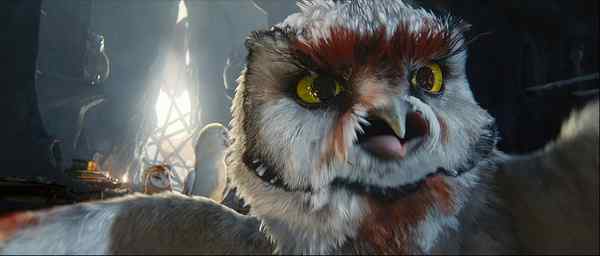 电影《守卫者传奇》中的猫头鹰知识大梳理