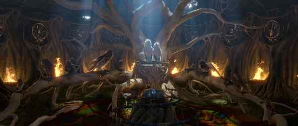 电影《守卫者传奇》中的猫头鹰知识大梳理