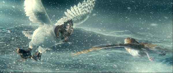 电影《守卫者传奇》中的猫头鹰知识大梳理