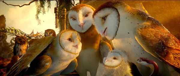 电影《守卫者传奇》中的猫头鹰知识大梳理