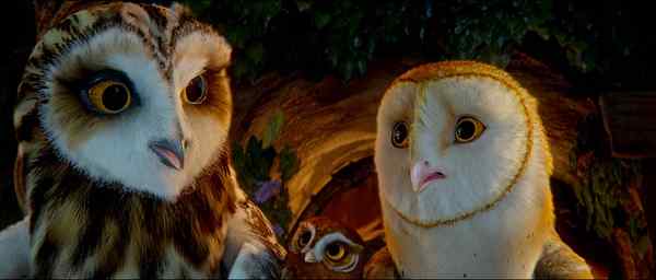 电影《守卫者传奇》中的猫头鹰知识大梳理