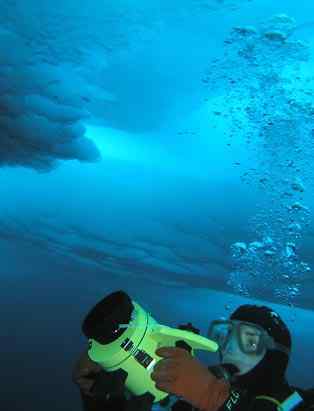 人类第一次完成海洋物种普查：23万种海洋生物