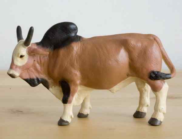 瘤牛Zebu ——欧洲印度神话中牛