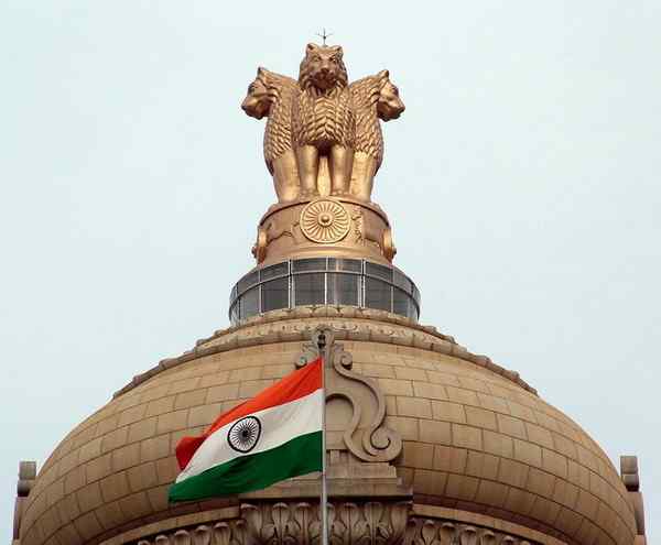 瘤牛Zebu ——欧洲印度神话中牛