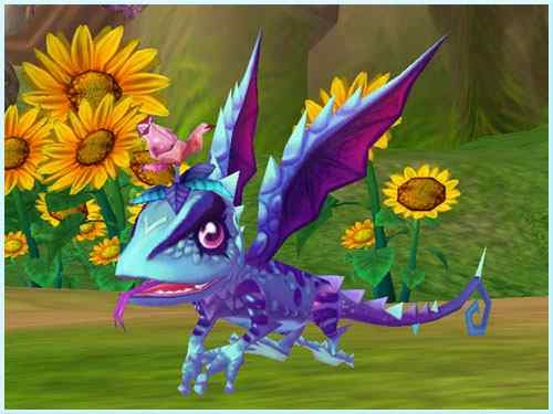 游戏《新飞飞》中的鸟类