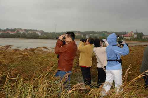 北戴河五月闻啼鸟