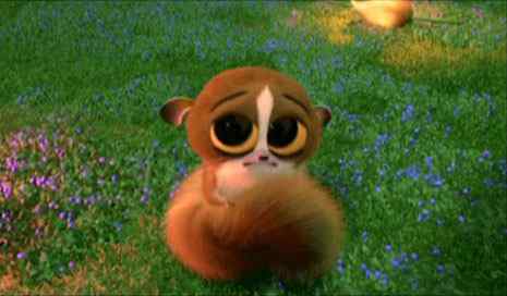 【连载】计算机出版社OReilly《UNIX技术手册》封面上的动物——眼镜猴 【连载】计算机出版社OReilly《UNIX技术手册》封面上的动物——眼镜猴