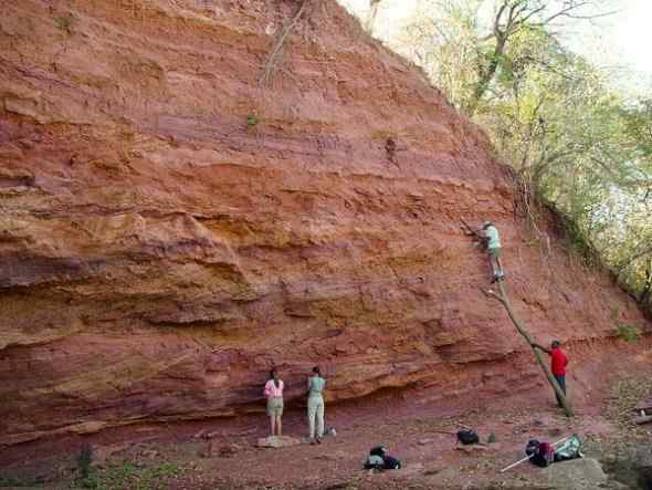 史前巨鳄？不，史前小鳄——猫鳄