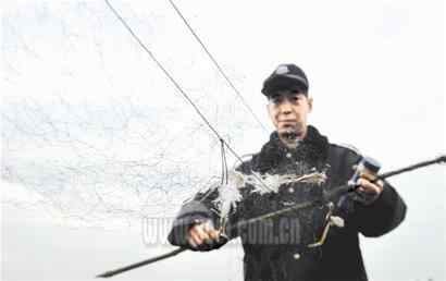 村民用强力胶捕捉老鹰被举报