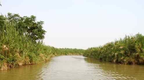 广州南沙湿地——广州之肾,人造湿地