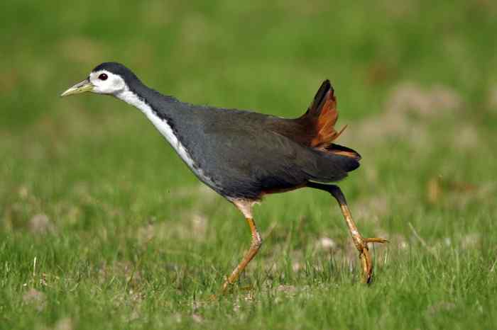 杭州老郑摄影续 杭州老郑摄影续