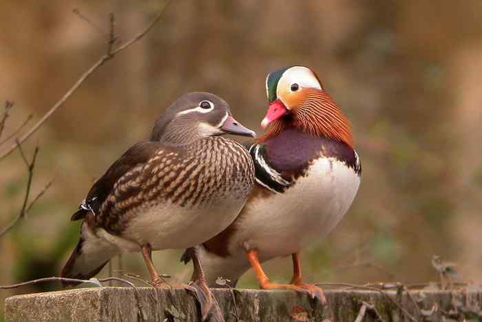 杭州老郑摄影续 杭州老郑摄影续