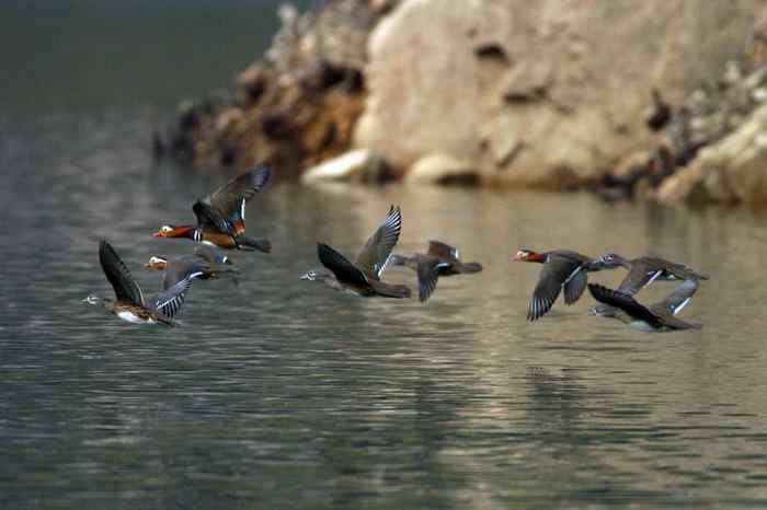杭州老郑摄影续 杭州老郑摄影续