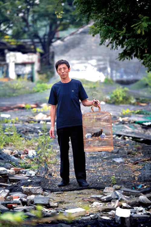 中国鸟事——北京养鸟人