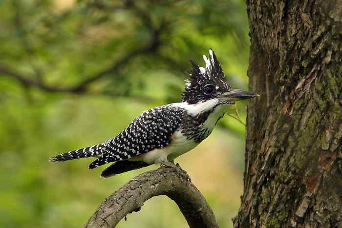 杭州老郑摄影续 杭州老郑摄影续