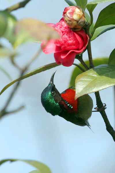 杭州老郑摄影续 杭州老郑摄影续
