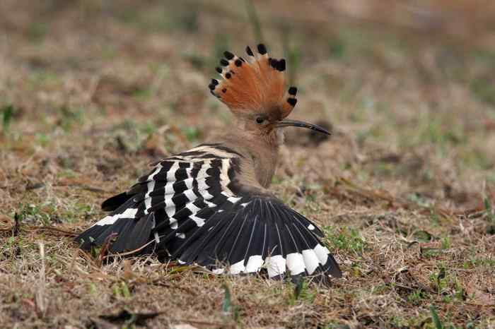 杭州老郑摄影续 杭州老郑摄影续