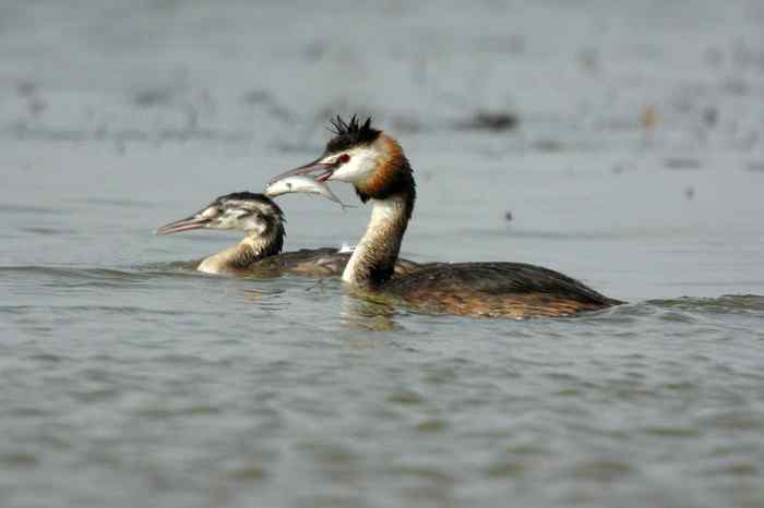 杭州老郑摄影续 杭州老郑摄影续