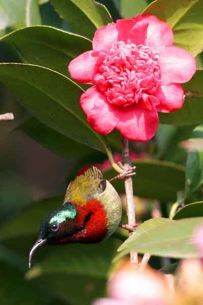 杭州老郑摄影续 杭州老郑摄影续