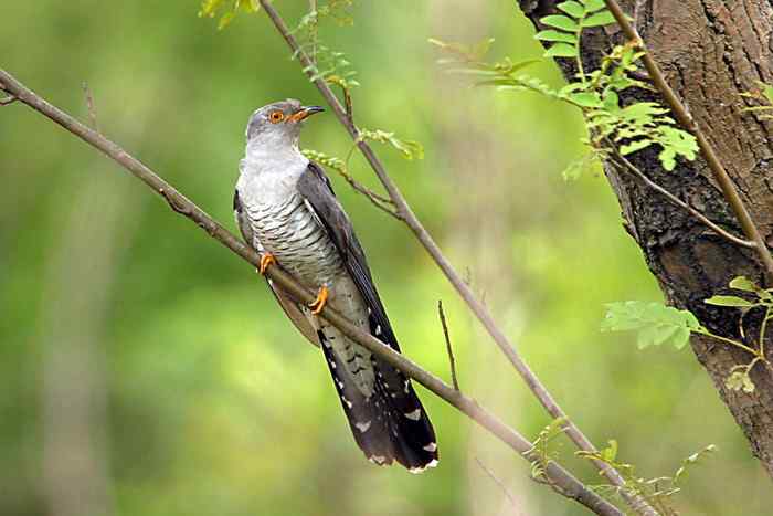 杭州老郑摄影续 杭州老郑摄影续