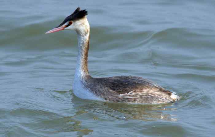 杭州老郑摄影续 杭州老郑摄影续