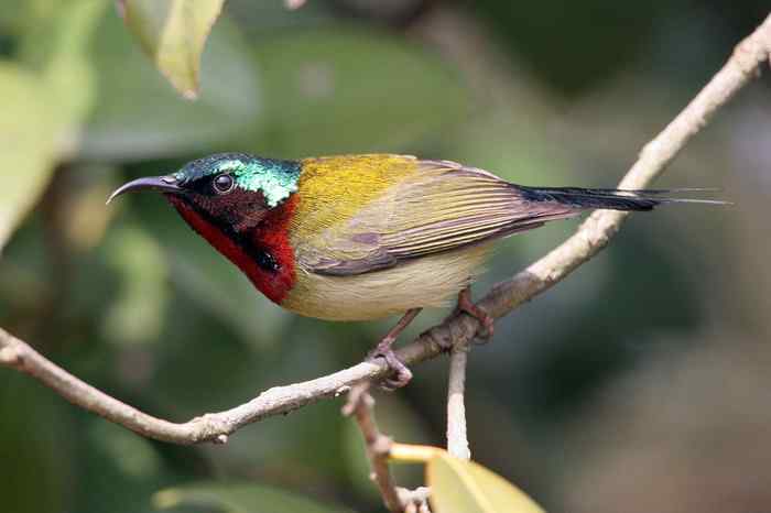 杭州老郑摄影续 杭州老郑摄影续