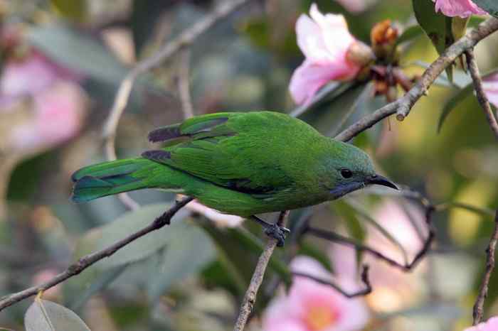 杭州老郑摄影续 杭州老郑摄影续