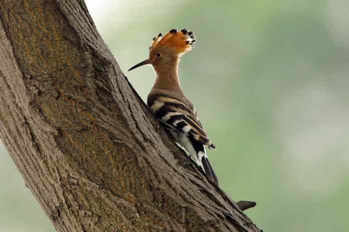 杭州老郑摄影续 杭州老郑摄影续