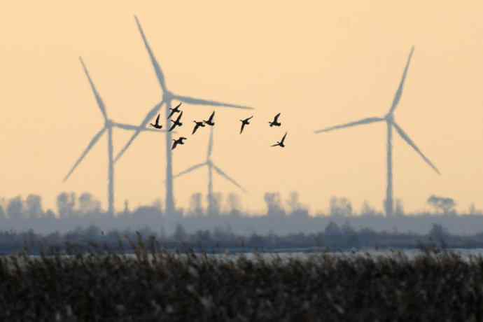 美丽的野鸭湖 美丽的野鸭湖