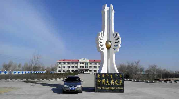 【新鸟】白额雁 wbr图牧吉湿地初探 【新鸟】白额雁 wbr图牧吉湿地初探