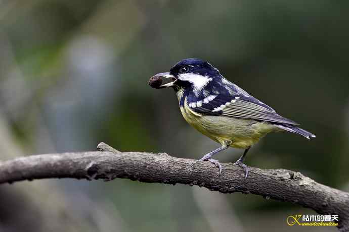 鈥溁聘股饺糕澊⒘腹