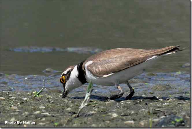  点击图片或使用键盘← →翻页