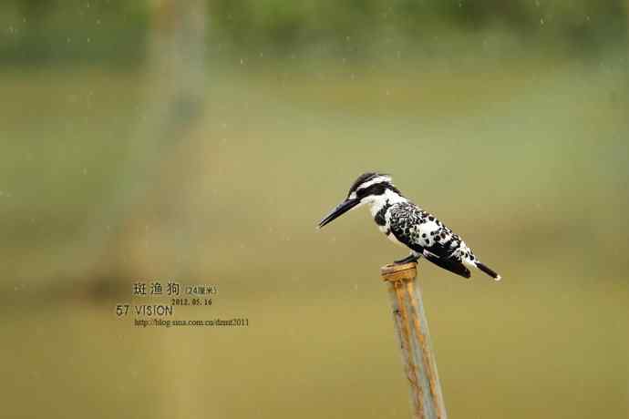 呼朋唤友鈥斺敯哂婀
