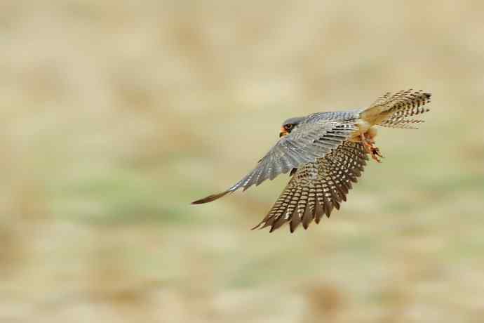 五月天鈥斺斎づ陌⒛露溃ǘ）