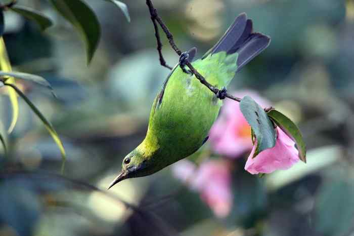 杭州老郑摄影续 杭州老郑摄影续