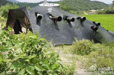 参加世界濒危鸟类摄影比赛