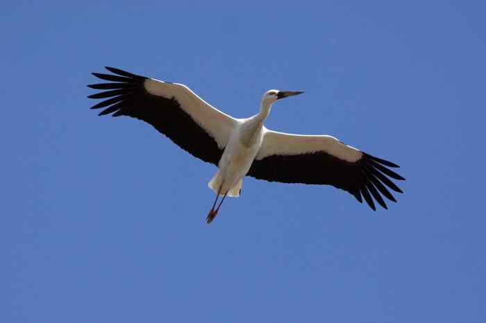 杭州老郑摄影续 杭州老郑摄影续