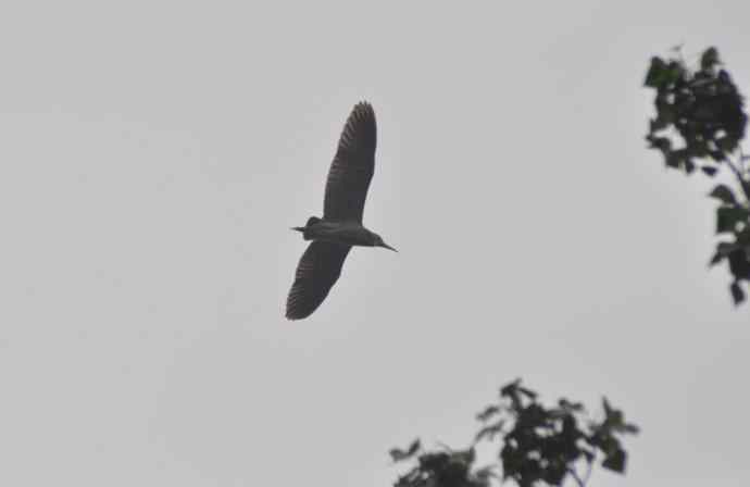 20100505当日总结 20100505当日总结