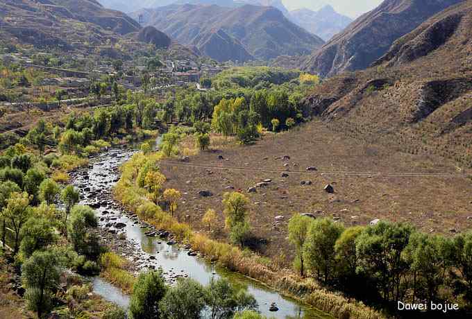 永定河湿地观鸟秋游