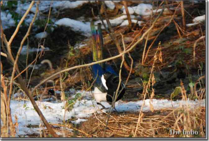 点击图片或使用键盘← →翻页