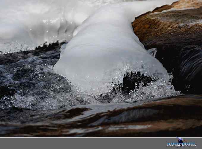 冰上鸭趣 冰上鸭趣