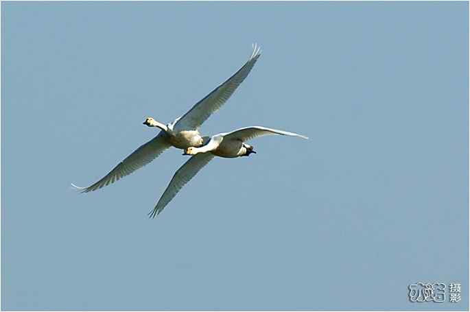  点击图片或使用键盘← →翻页