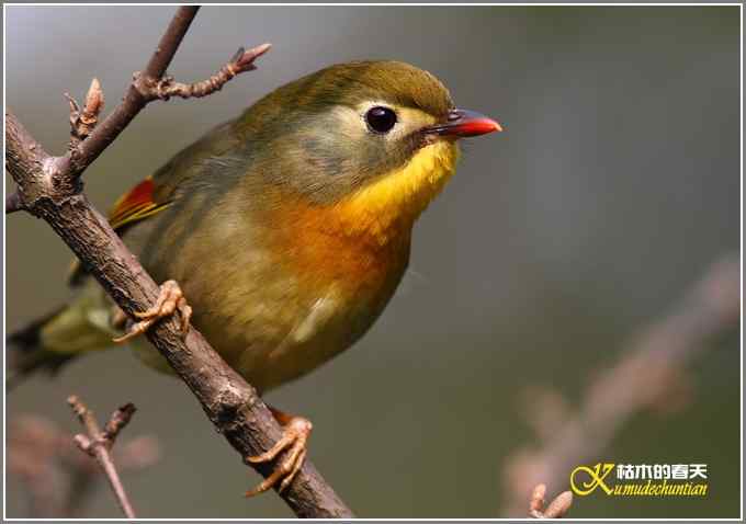 神马都是浮云，健康、快乐才最给力鈥斺斘业2010