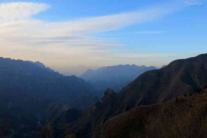 十渡转山拍二红 邂逅新鸟领岩鹨