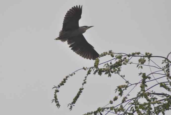 20100505当日总结 20100505当日总结