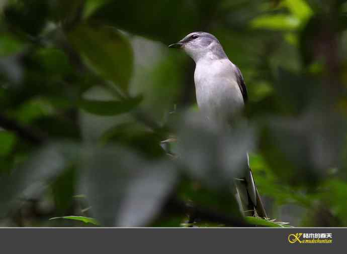 拍鈥溁疑浇纺疋澕侨ぁ菊掌