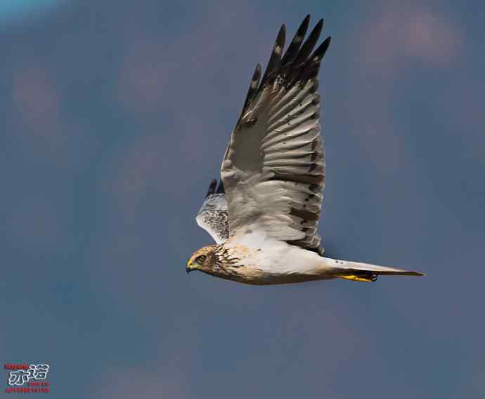 官厅水库&nbsp;wbr路&nbsp;wbr金秋十一猛