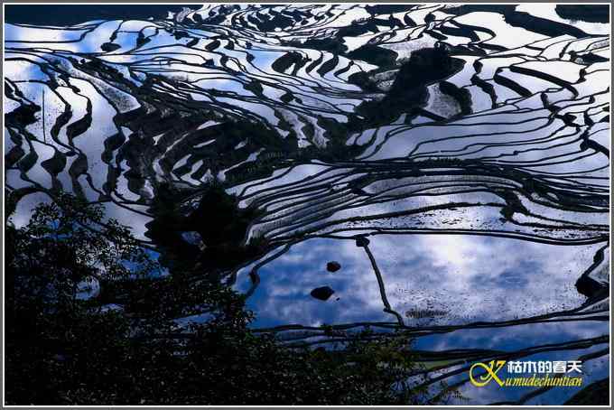 如梦的元阳梯田【照片】